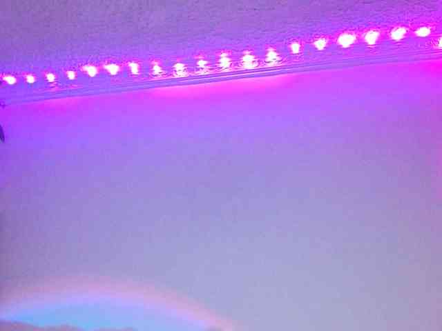 Medussa333 webcam