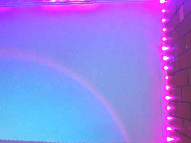 Medussa333 webcam
