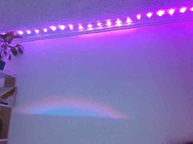 Medussa333 webcam