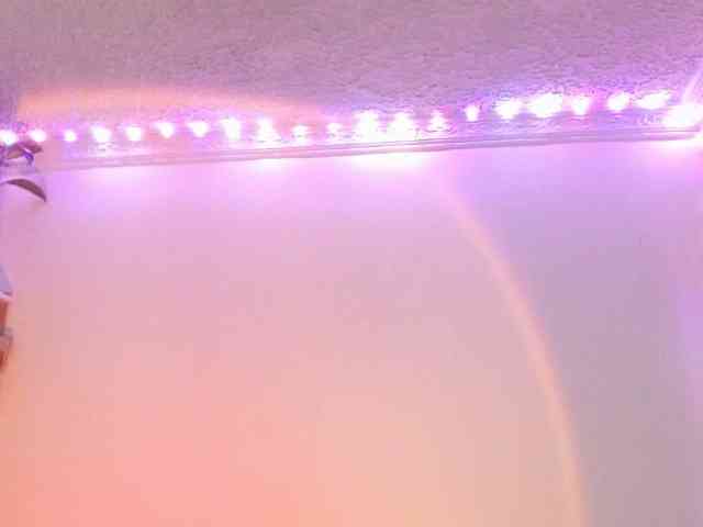 Medussa333 webcam