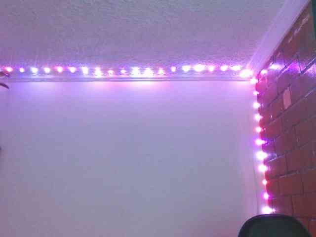 Medussa333 webcam