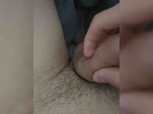 Lapik0669