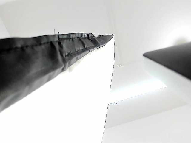 DulceeCherry's BongaCams show and profile