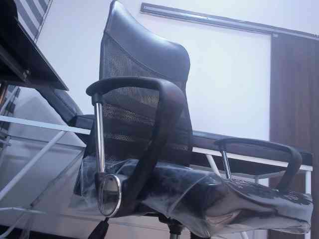 LeilaSmith webcam