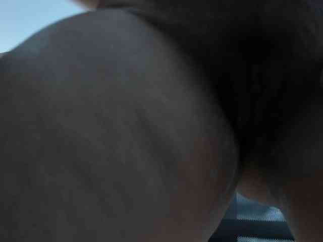 LeilaSmith webcam