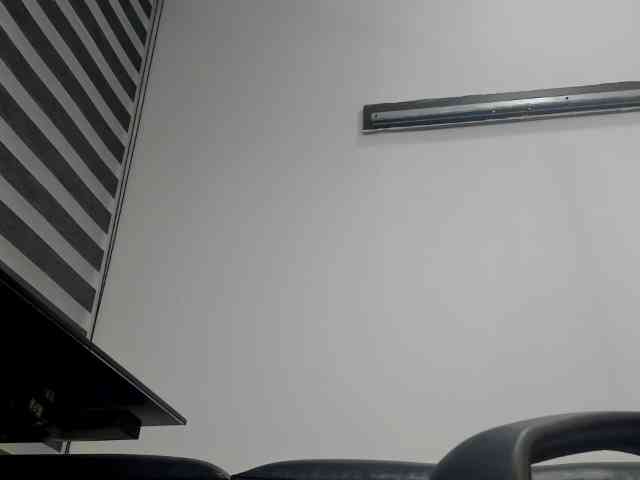 LeilaSmith webcam