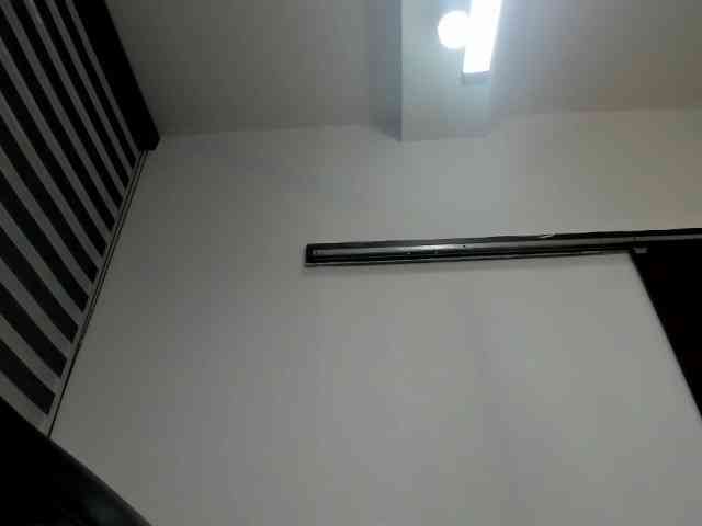 LeilaSmith webcam