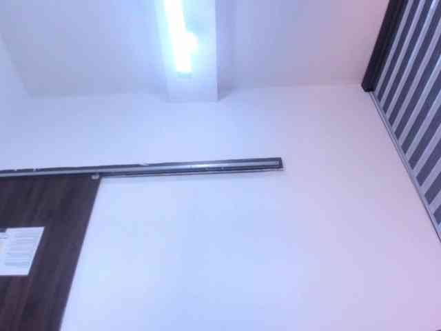 LeilaSmith webcam