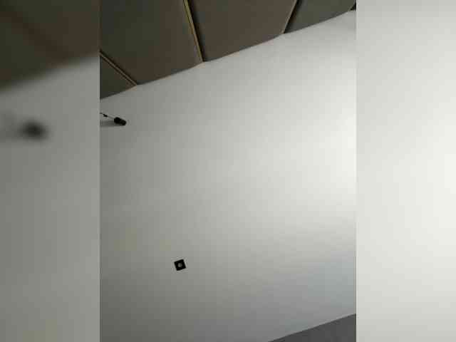LunaDesire webcam