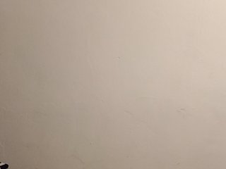 ShontieVicen Porn Show