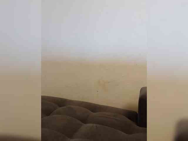 ShontieVicen webcam