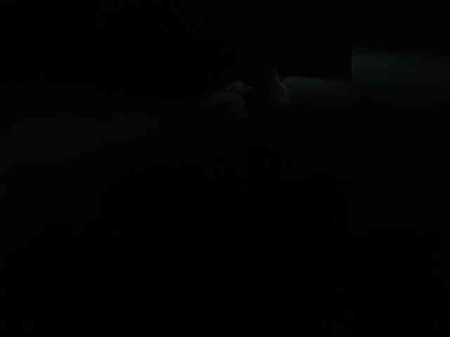 AnastasiaSinfil webcam