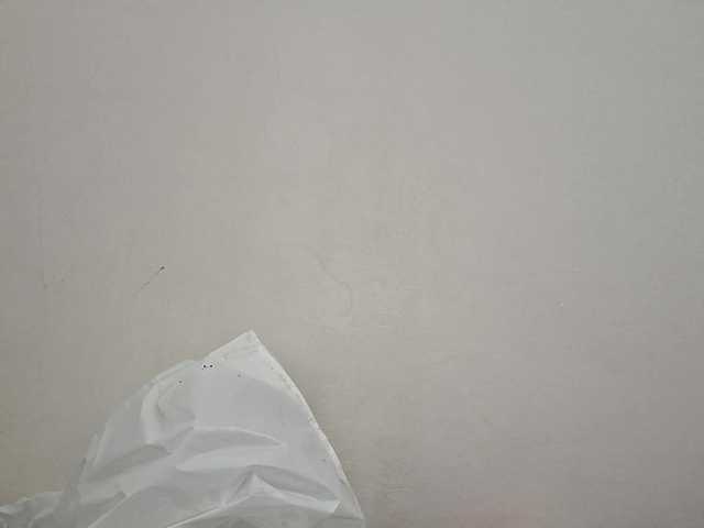 AraPfieffer's BongaCams show and profile