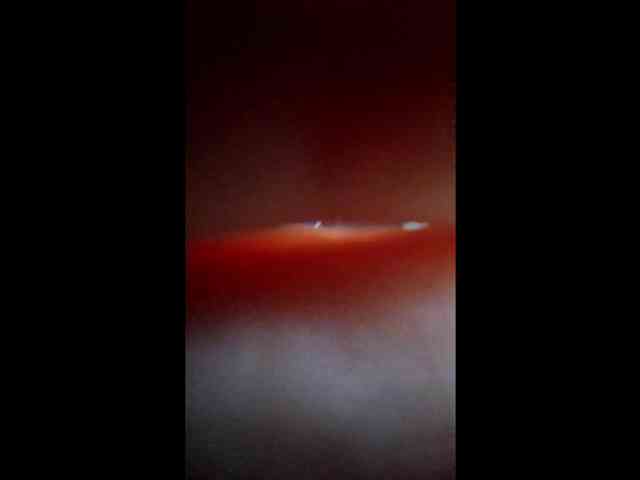 UrSweetieLeigh webcam