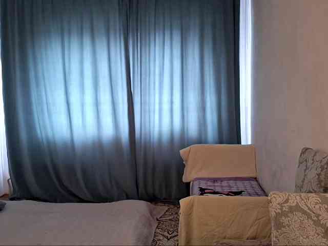 AraPfieffer Live Webcam on BongaCams
