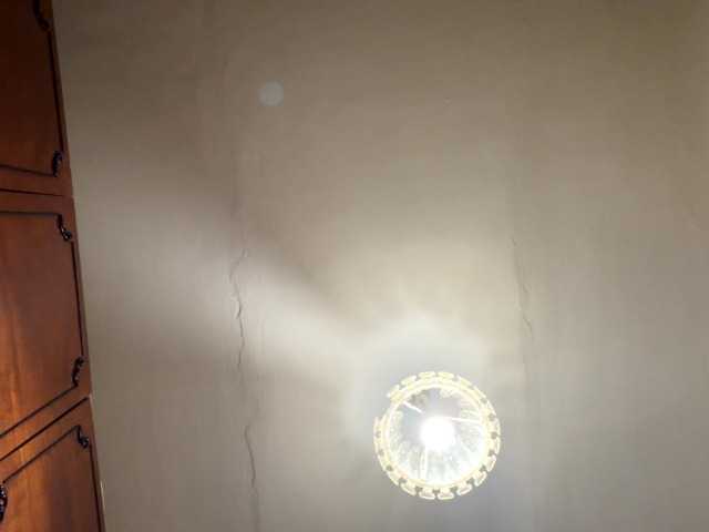 Preview of latoshabonkowski