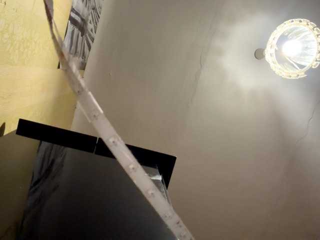 LatoshaBonkowski's BongaCams show and profile