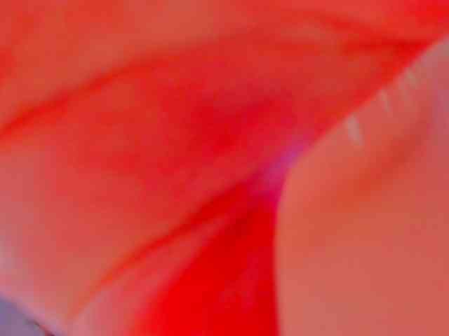 Elieen2 webcam