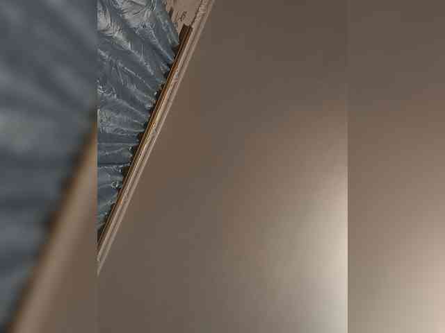 olenadoluk9 webcam