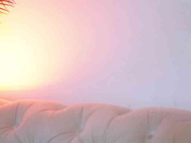 AileenKiss webcam