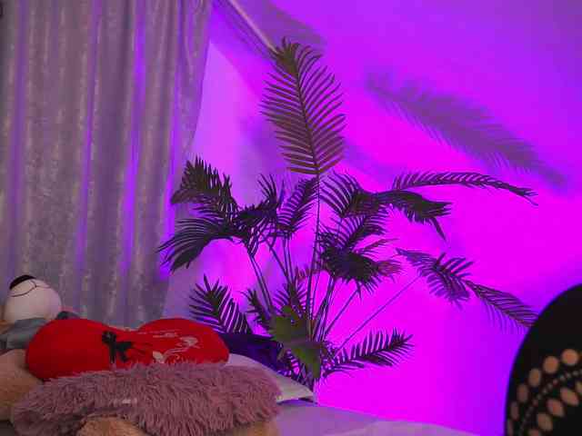 モデル: TenderSin