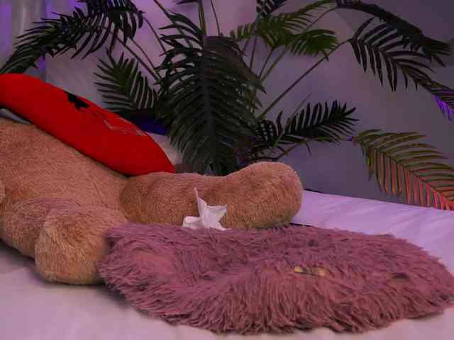 TenderSin webcam