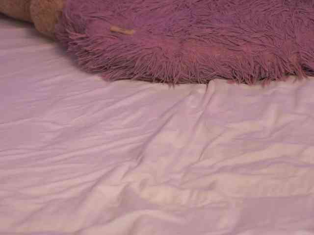 TenderSin webcam