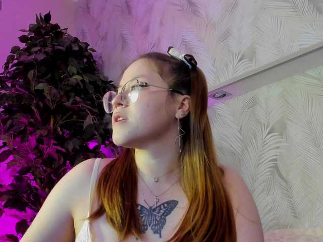 Krysa-dapp webcam