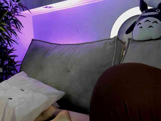 Krysa-dapp webcam