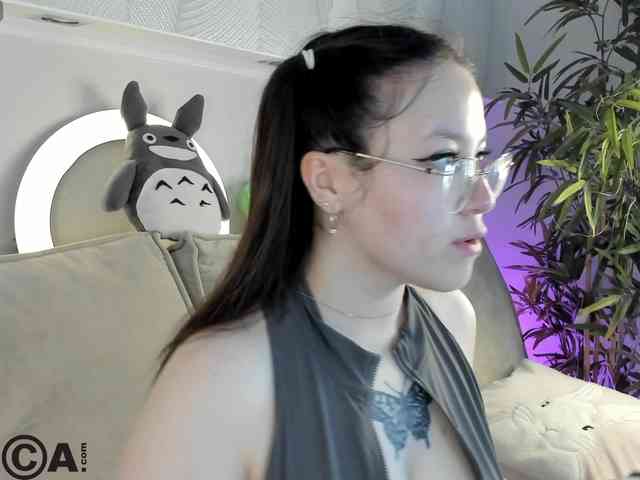 Krysa-dapp webcam