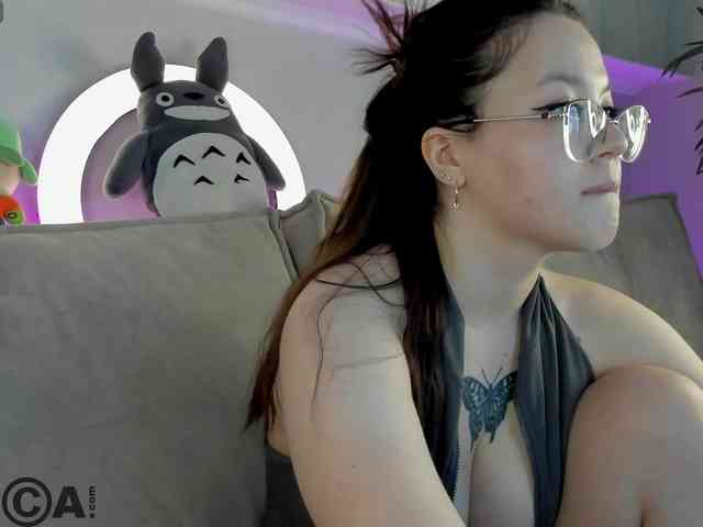Krysa-dapp webcam