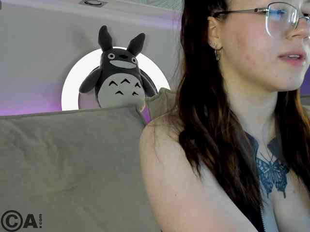 Krysa-dapp webcam