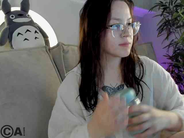 Krysa-dapp webcam
