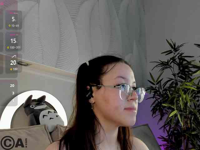 Krysa-dapp webcam