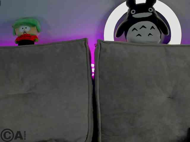 Krysa-dapp webcam