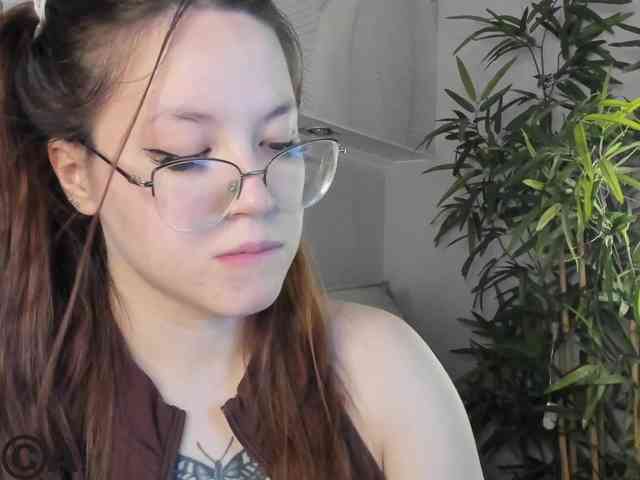 Krysa-dapp webcam