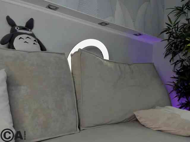 Krysa-dapp webcam