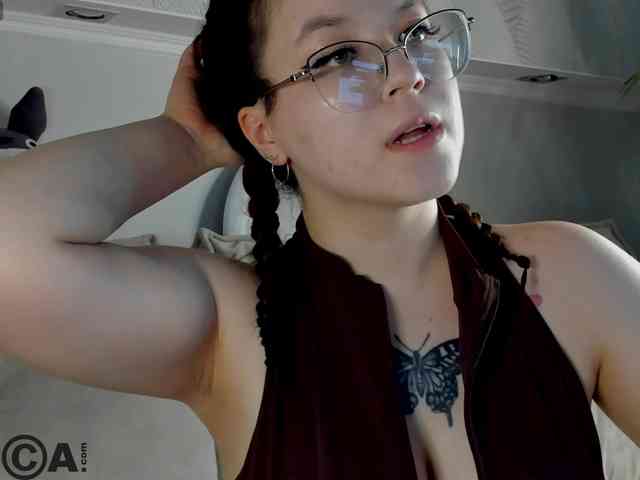Krysa-dapp webcam
