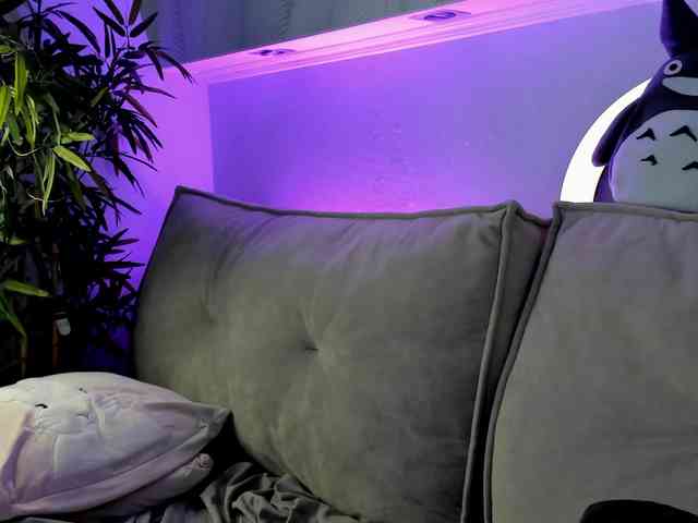 Krysa-dapp webcam