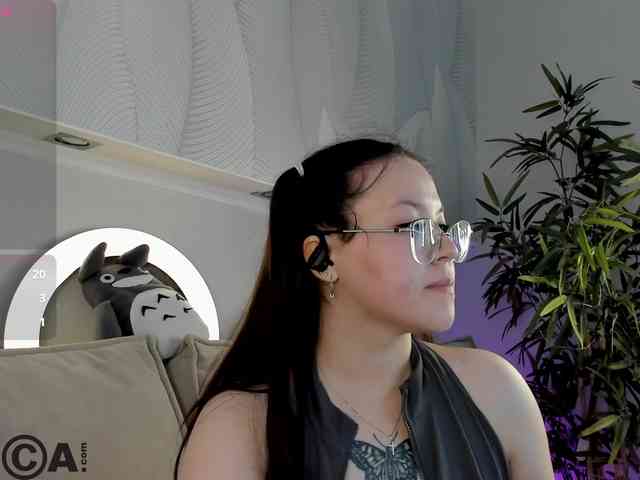Krysa-dapp webcam