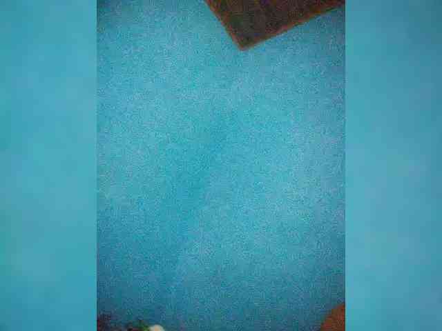 Annais19 webcam