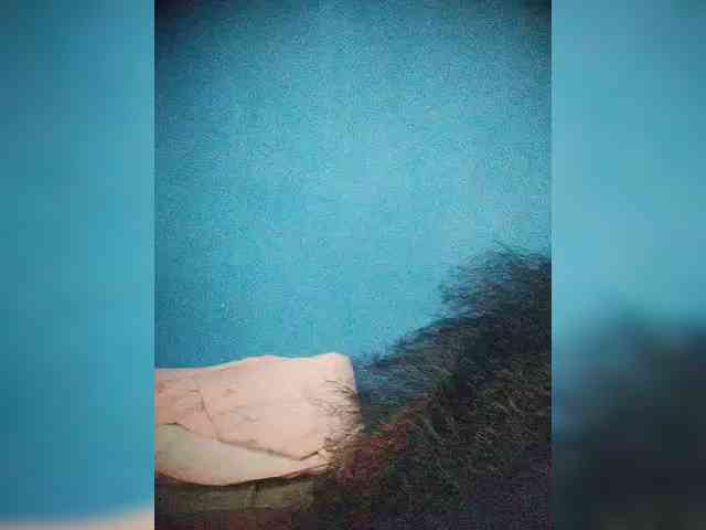Annais19