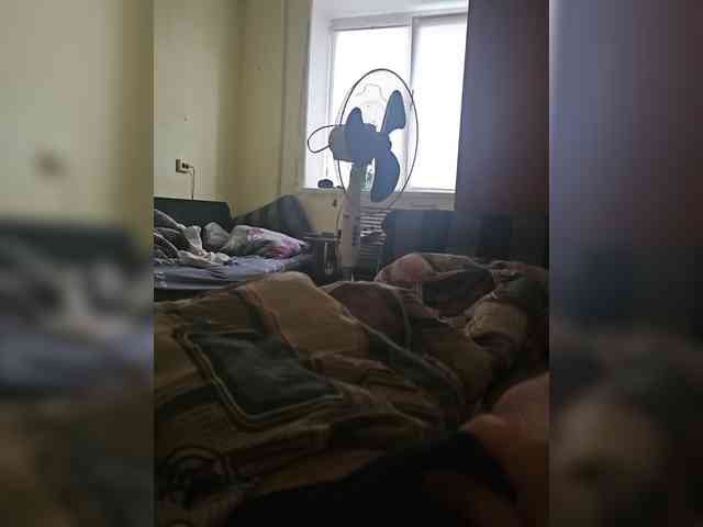 Edik3121