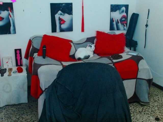 MilyGrey-08 live cam preview