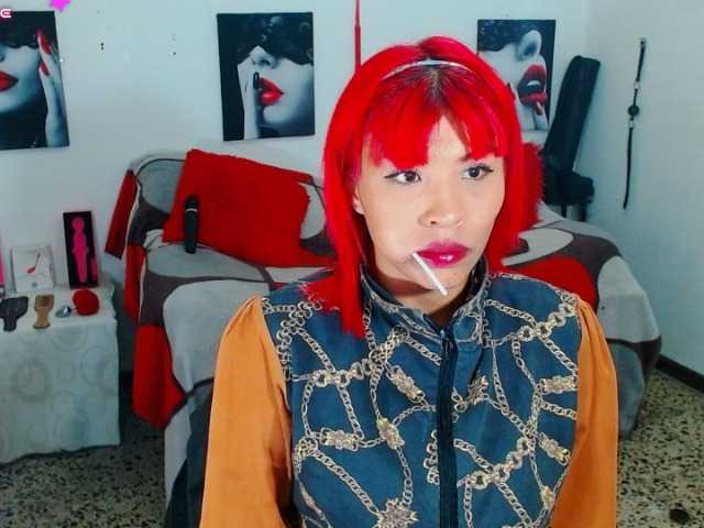 MilyGrey-08 live cam on BongaCams