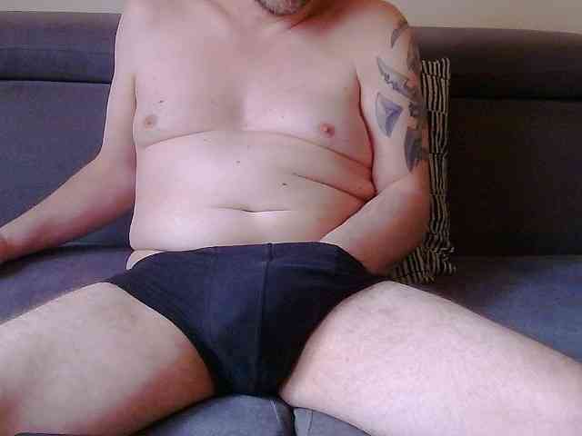 Bull4193