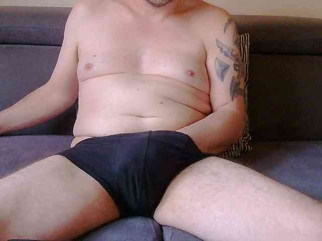 Bull4193