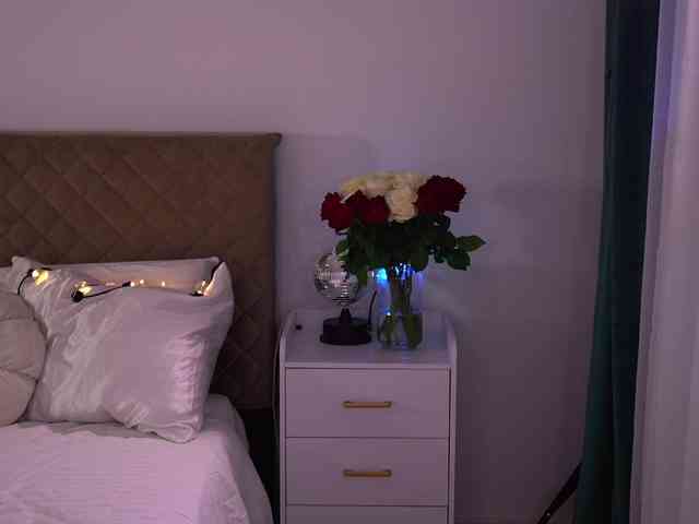 -Anitaraj- webcam