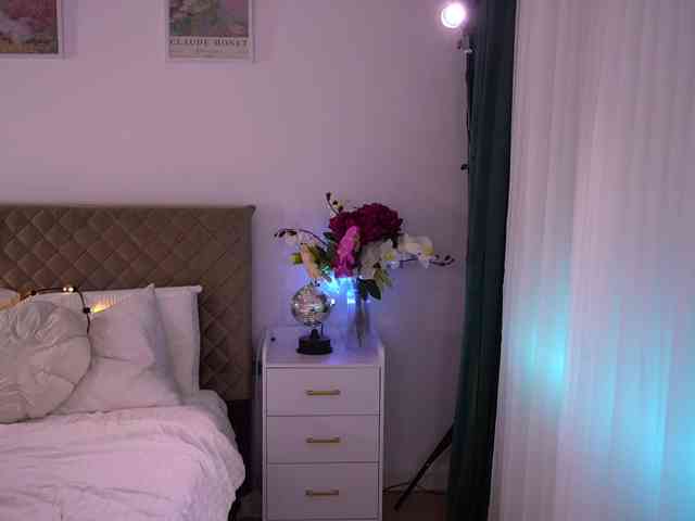 -Anitaraj- webcam