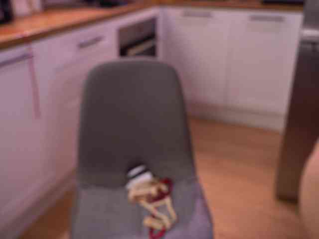 -Anitaraj- webcam